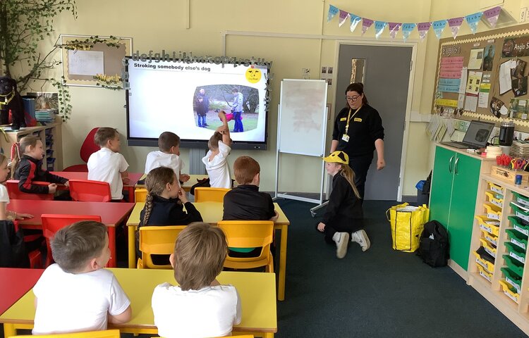 Image of Dogs Trust Assembly