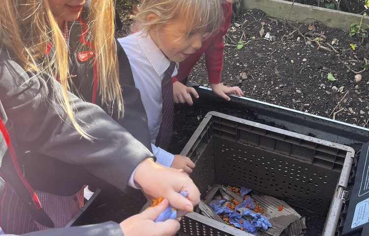 Image of Composting Care Club
