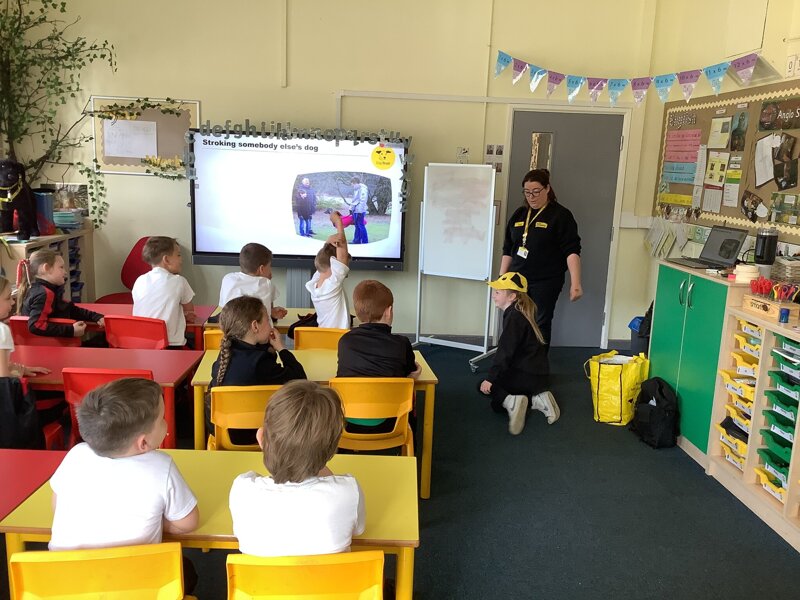 Image of Dogs Trust Assembly